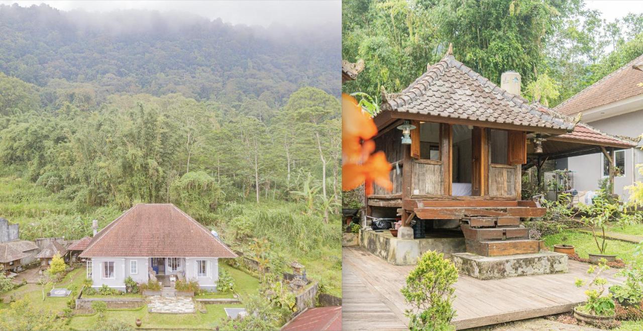 Four Monkeys House By Bukit Vista Villa Bedugul (Bali)