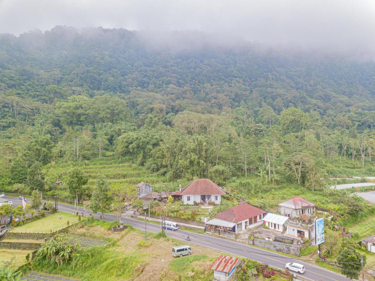 Villa Four Monkeys House By Bukit Vista Bedugul (Bali)
